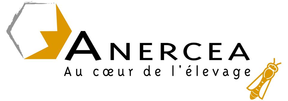 Anercea logo